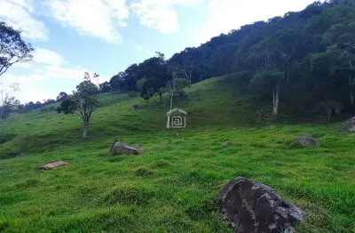 Fazenda à venda na Zona Rural, Bandeira do Sul 