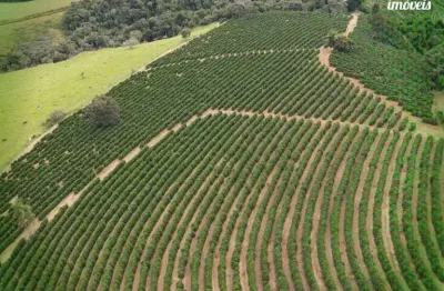 Chácara / sítio à venda na Fazenda Roseirinha, Zona Rural, Bandeira do Sul