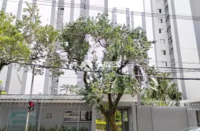 Apartamento para locação com 02 quartos no vila yara - conforto garantido