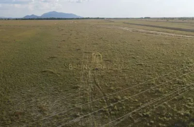 Fazenda à venda na praça centro cívico 176, 00, centro, boa vista por r$ 65.000.000