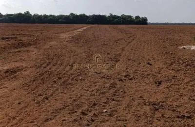 Fazenda à venda na são félix, 00, zona rural, são félix do araguaia por r$ 72.000.000
