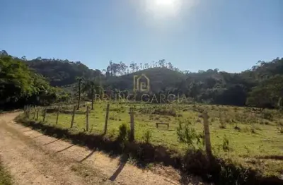 Sítio à venda em piracaia-sp, bairro do pião: 2 quartos, 1 sala, 2 banheiros, 16,30 alqueires de área. venha conferir!