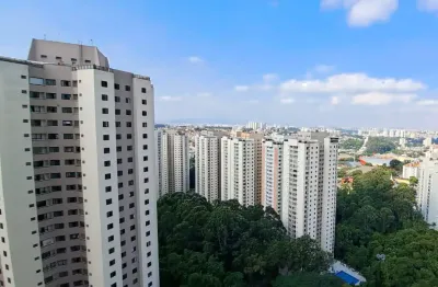 Apartamento com vista livre para a mata, condomínio pitangueira