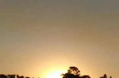 Fazenda à venda na Diogenes Domingues De Godoi, 156, Zona Rural, Pinhalzinho