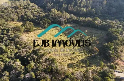 Terreno à venda no Centro, Pinhalzinho 