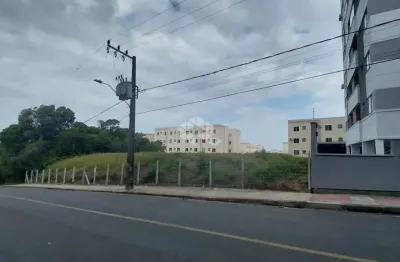Terreno à venda na Rua Hamilton Ferreira, 430, Areias, São José