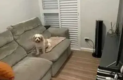 Apartamento de 2 dormitórios no ed. monte estoril bosque dos eucalipos são josé dos campos