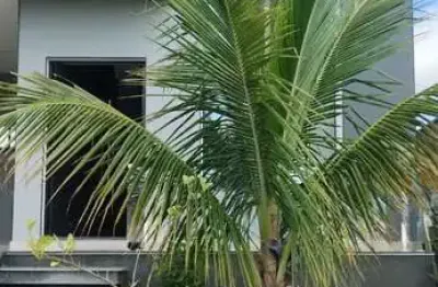 Casa de condomínio à venda - vereda dos campos - 2 quartos e 2 banheiros