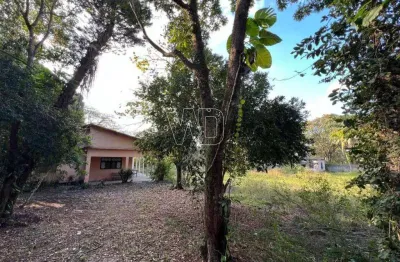 Vendo 2 lotes planos e murados - vila rica - 20.000m²