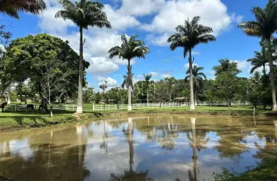 Chácara / sítio com 4 quartos à venda na Estrada Trinta e Três, Agro Brasil (Sambaetiba), Itaboraí