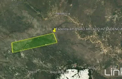 Fazenda à venda na zona rural, pilão arcado , 50000000 m2 por r$ 6.000.000
