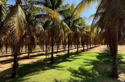 Chácara / sítio com 3 quartos à venda no monte alegre, barretos , 20000 m2 por r$ 4.000.000