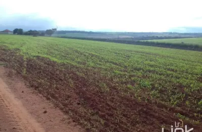 Fazenda à venda no Centro, Martinópolis 