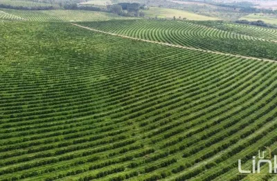 Fazenda à venda na Área Rural de Marília, Marília 