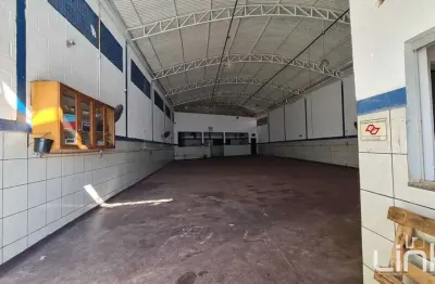 Pavilhão/galpão à venda no bairro américa - barretos/sp