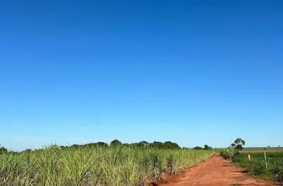 Chácara / sítio com 2 quartos à venda na Área Rural de Barretos, Barretos 