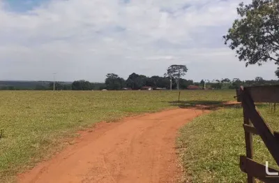 Chácara / sítio com 2 quartos à venda na Área Rural de Barretos, Barretos 
