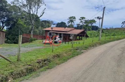 Chácara / sítio com 2 quartos à venda no Centro, Alfredo Wagner 