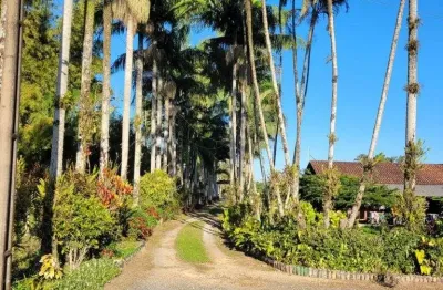 Terreno no areias pequenas com 0 quartos para venda, 58357 m²