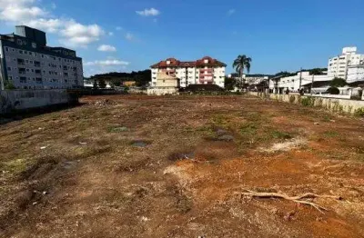 Terreno no zona industrial norte com 0 quartos para locação, 4655 m²