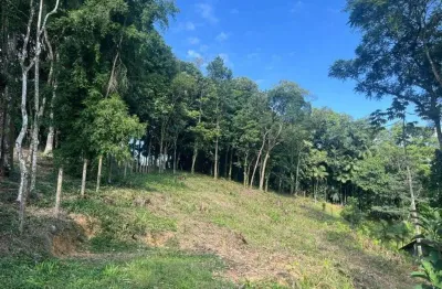 Terreno no américa com 0 quartos para venda, 1666 m²