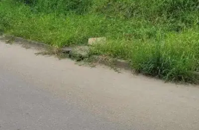 Terreno à venda na Rua Passo Fundo, 31, Fátima, Joinville