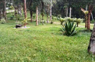 Excelente chácara 20.000 m2 com casa 650.000 borda do campo são josé dos pinhais