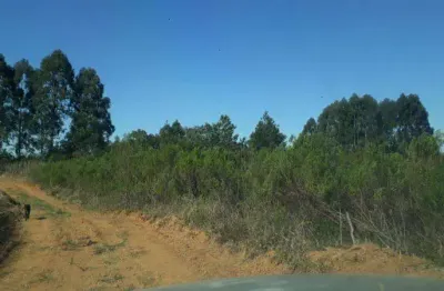Excelente chacara com 36.300 m2 campestre tijucas 170.000
