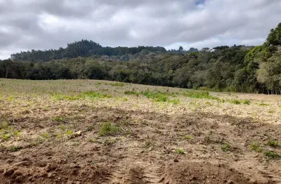 Excelente chacara com 35,000 m2 roça velha 700,000,00