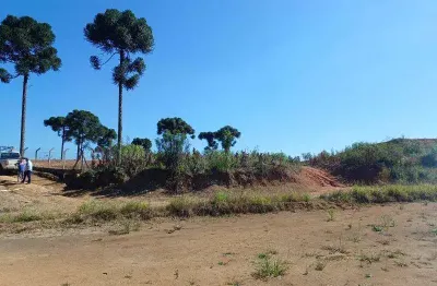 Excelente area comercial defrente a pr 419 rincão 120,000,00
