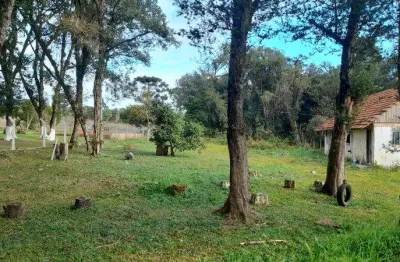 Excelente chacara com 6.000 m2 em tijucas rio abaixo 350.000,00 proximo hotel passaredo