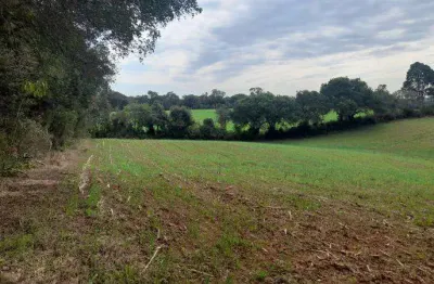 Excelente chacara com 56.000 m2 sem benfeituria piraquara 650.000,00