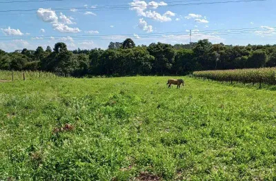 Excente chacara com 7.800 m2 sem benfeiturias  c.largo da roseira 550.000,00