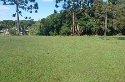 Excelente chacara com 20.000 m2 campo largo da roseira 650.000,00 sem benfeiturias