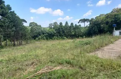 Excelente chacara com 5.000 c,largo da roseira sem benfeiturias 290.000,00