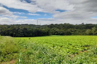 Excelente chacara com 15.000 m2 sem benfeiturias  1.500,000 campina do taquaral s.j.p.