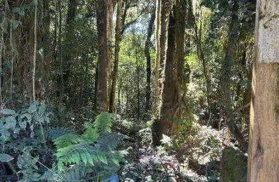 Excelente chacaras com 20.000 m2 cada na faxina em tijucas 200.000 área rural de tijucas do sul