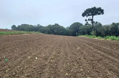 Excelente chacara sem benfeituria com 5.000 m2 malhada 350.000