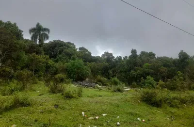 Excelente chacara com 08 alqueires  guaricana 295.000 area rural de saõ josé dos pinhais