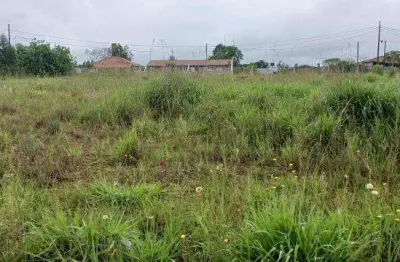 Excelente chacara sem benfeiturias 2.000 m2 campo l.da roseira 330.000,00