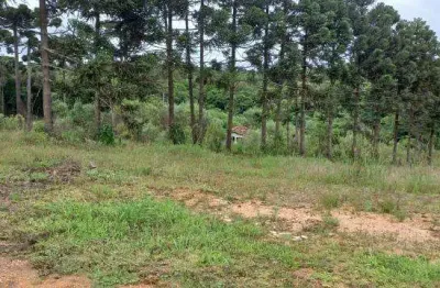 Excente chacara com 5.000 m2 sem benfeiturias 330.000 campo largo da roseira