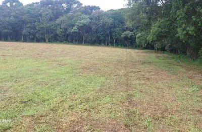 Chácara / sítio à venda na Praça Padre Francisco Proft, Contenda, São José dos Pinhais
