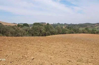 Chácara / sítio à venda na Avenida Principal Ximbuva, Zona Rural, Campo Alegre