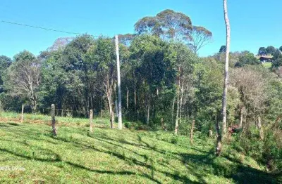 Excelente chacara com 1500 m2 roça velha sao jose dos pinhais  130.000