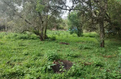 Excelente chacara com 12.000 m2 sem benfeituria bairro nhoaiva s.j.dos pinhais