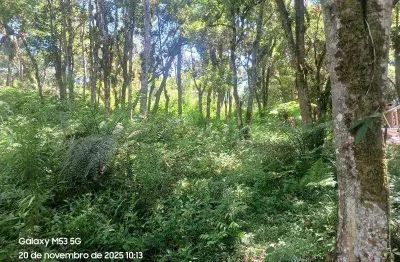 Chácara / sítio à venda na Rua Servidão, Zona Rural, Tijucas do Sul