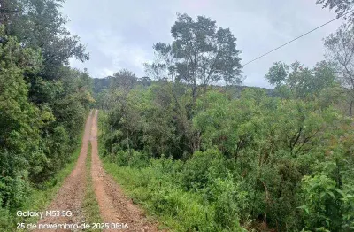 Excelente chacara com 2.100 sem benfeiturias c. alto tijucas do sul 70.000
