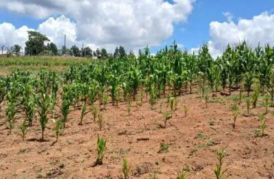 Chácara / sítio à venda na Área Rural, Zona Rural, São José dos Pinhais