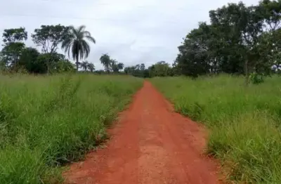 Fazenda de 60,27 hectares à venda na região fazenda bandeira, em abaeté - mg.