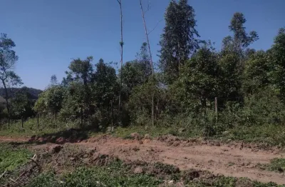 Chácara / sítio à venda na Rua Antônio Leandro Da Maia, S/N, Zona Rural, São João do Itaperiú